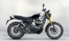 ROYAL-ENFIELD-BEAR-650
