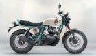 ROYAL-ENFIELD-BEAR-650